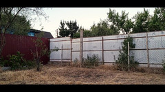 Bear mr: Žhavá Pravidla Pro Regulérní Hru