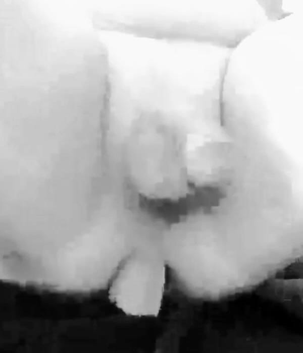 Northwoods Cock: Đào tạo cu giả