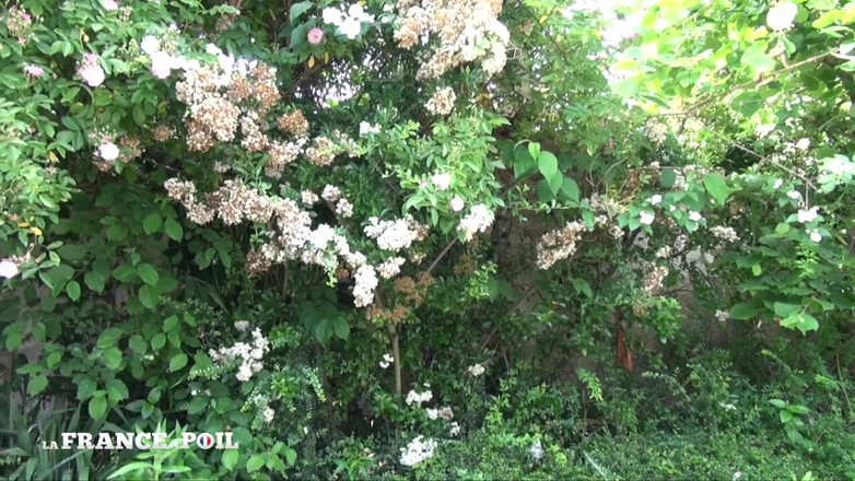 French BDSM: Mooie blonde slet pijpt in de jacuzzi voordat ze wordt...