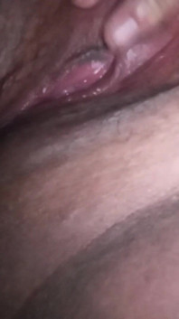 My Pussy