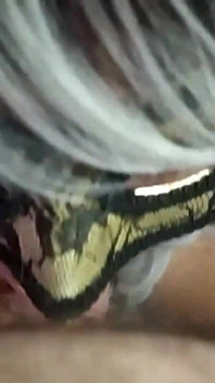 I Love Blowjobs