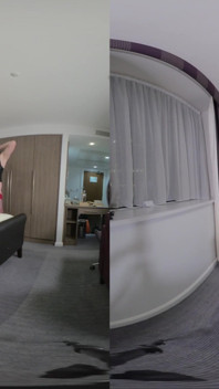 Transsexuální paroháč