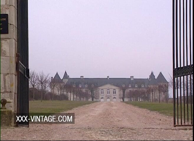 XXX-Vintage: Hot sex in the castle with busty Anita Dark