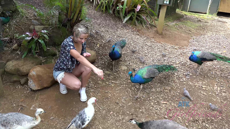 ATK Fans (Girlfriends): 마게나 블루와 함께하는 하와이의 가상 휴가 7부