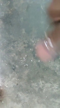 Vid_20241228_164403