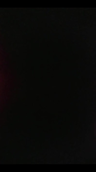 Camera Roll Dump