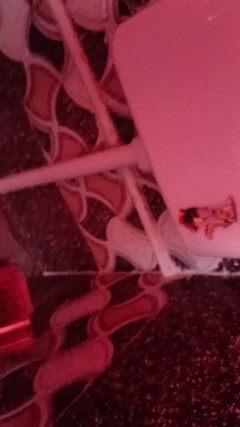 Darling_Shivani: 年轻男孩剃光了一根鸡巴