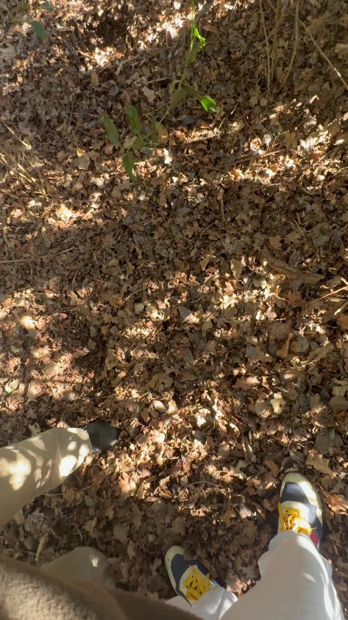 Hot dick in your ass: Cruise in the Woods, vovô casado chupou meu pau e...