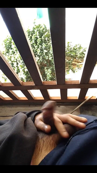 AlexAlejandro13: Memulai hari ke hari