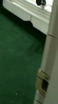 Uchvácená mojí velkou prsatou nevlastní matou tečí