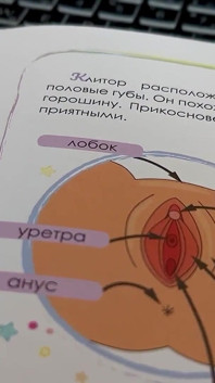 La matrigna ha preparato il figliastro per l'esame sulla struttura dell'organo genitale femminile