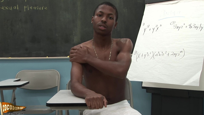 CocoDorm: Delone dickson 2