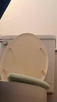 Mature Women's Pee Videos: 2-hour Summary