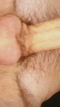 Will You Suck My Hairy Balls?