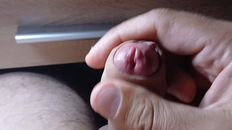 AlexCat: Selvagem Rose tão bonita.