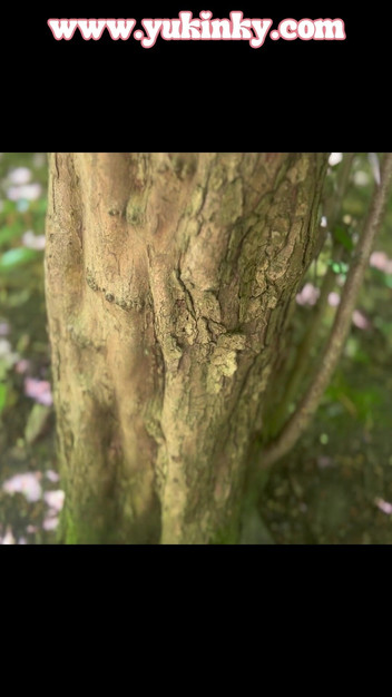 yukinky: वह जंगल में खुद को छूते हुए फिल्माई जाती है - फ्रेंच शौकिया बालों वाली लाल बालों वाली दिखावटी ऑल्ट