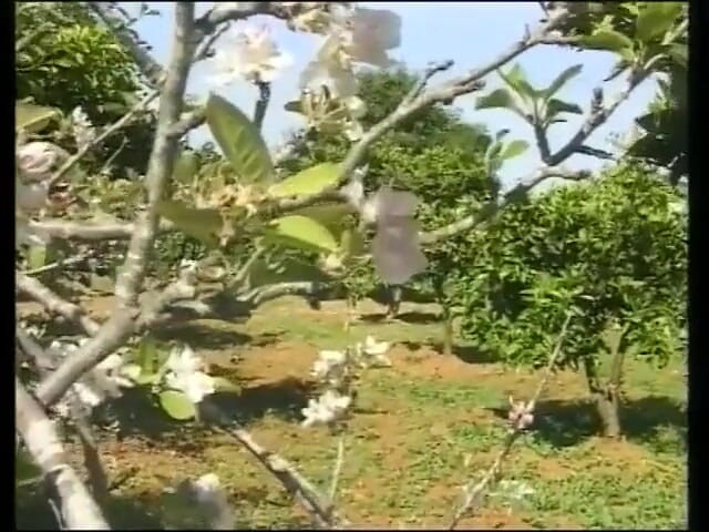 Real porno and movies XXX: Due Amici Sono in Vacanza a Ibiza E Scopano Pulcini...