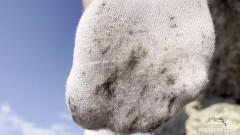 Mistress Legs: Des pieds sexy dans des chaussettes blanches sales et éponge taquinent...