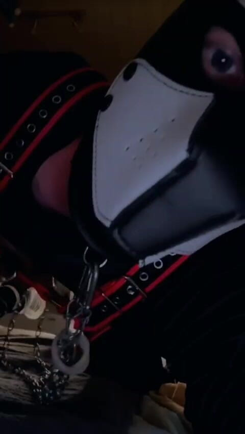 EvilSadness83: Pe la spate vrea să se joace