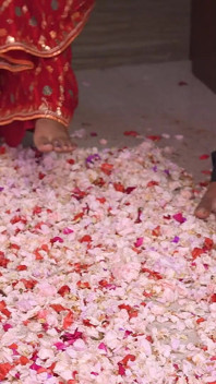 Marriage and Then the Wedding Night.