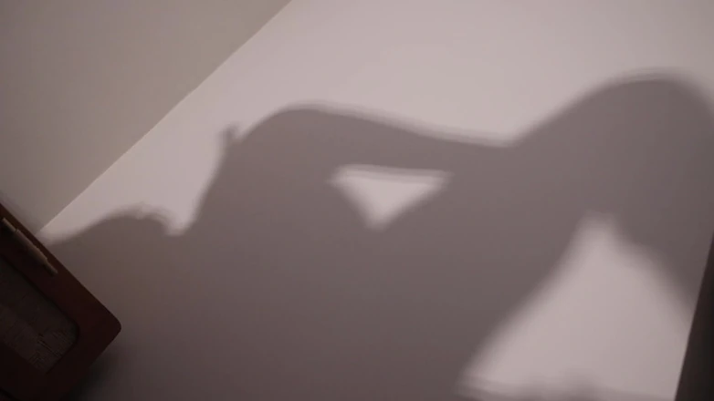 Countess diamond: Worship My Shadow - My Pleasure, Your Denial