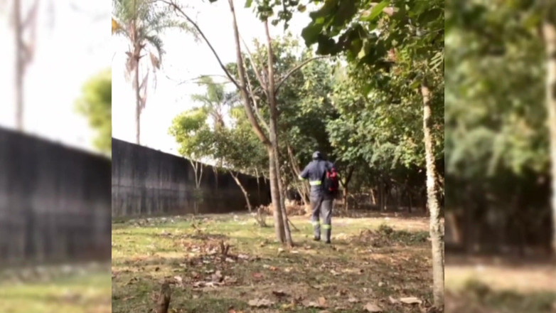 TheBlacKHunterr: Saya meninggalkan pekerjaan dan menemukan seorang pria untuk mengisap saya...