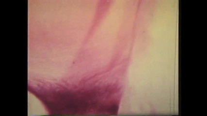 The Unforgettable: Fraierul pofticios