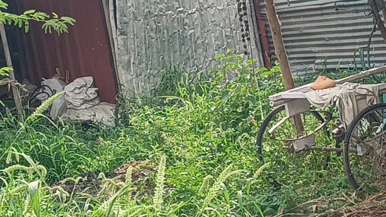 Inba: Venkovní šukání