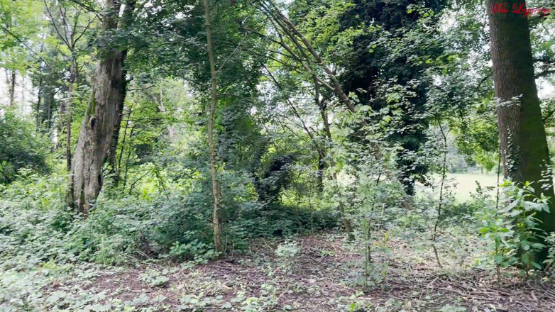 MissLeggings: Sex und Sperma-Shot im Park mit einem Fremden