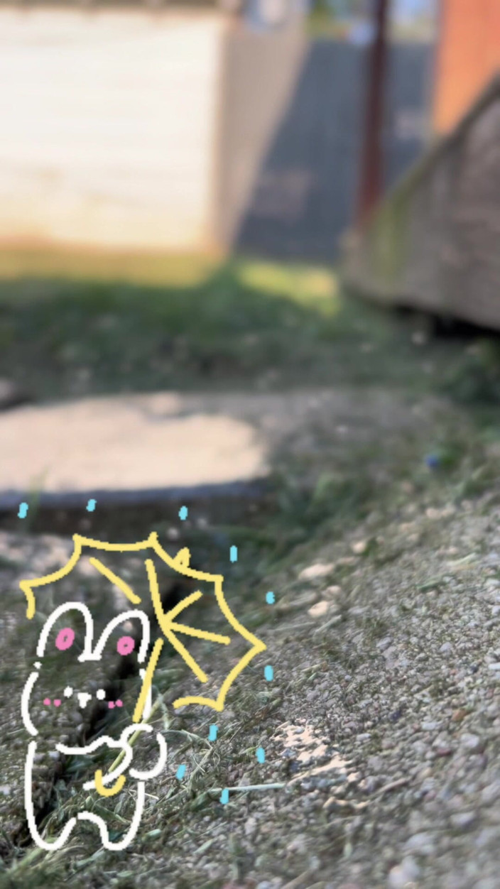 Miss happy mommy: La matrigna gigante acque il suo piccolo ragazzo in giardino