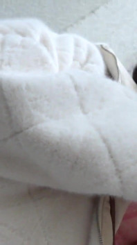 Asian angel 20945