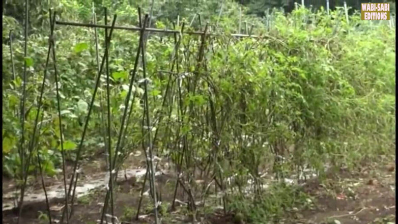 MILF, Wabi-Sabi Editions: Útěk z venkova, kde svobodné zralé ženy přijmou svobodu dospělých pod širým...