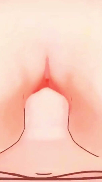Zenless Zone Zero - Burnice White Riding a Dick - 3D Hentai Animations