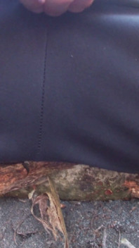 Sweaty Jock Jerks off in Forest While Talking Dirty - Hairy, Uncut & Verbal (part 1)
