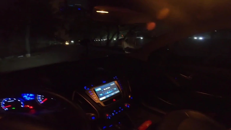 Agatha Lyra: Jag fångade en transkvinna på gatan och betalade för att äta...