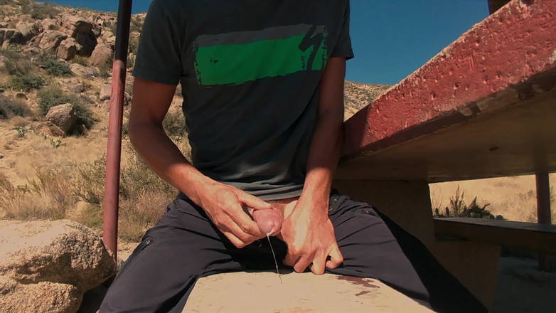 Lapetus: ピクニックテーブルでけいれん