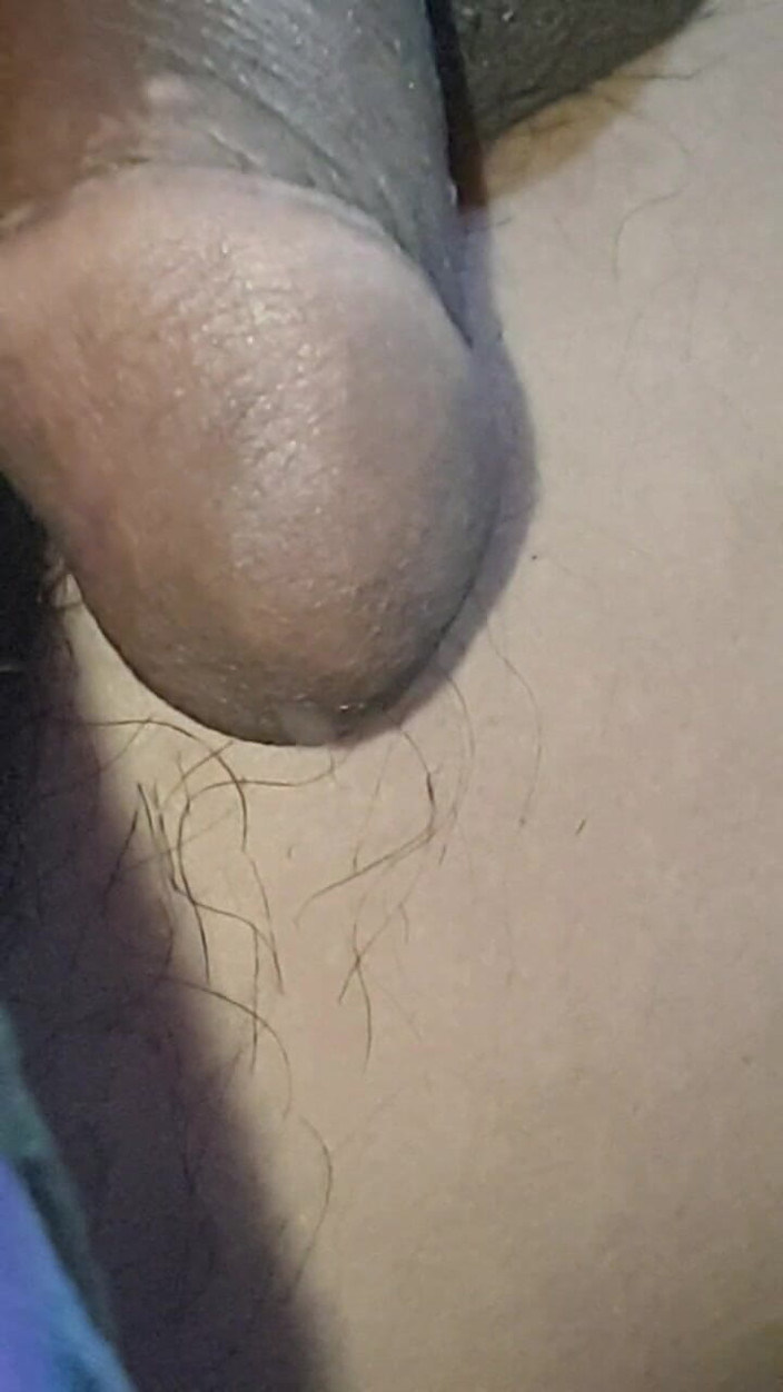 Xujjal: Urutan Panis bersaiz besar hitam di bilik saya