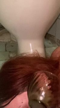 トイレ舐め、トイレからブラシを吸い、床から唾を舐め回す