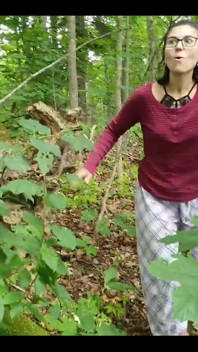 Saat Dua Wanita Menjelajahi Hutan