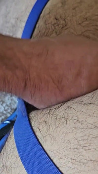 Estirar el agujero del oso peludo italiano