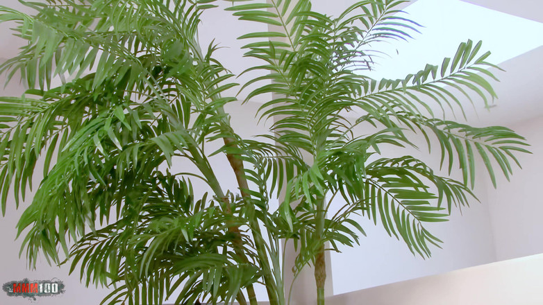 BBC and Interracial: Sexig mörkhyad Nyomi med super stor röv knullas med spermapaj...