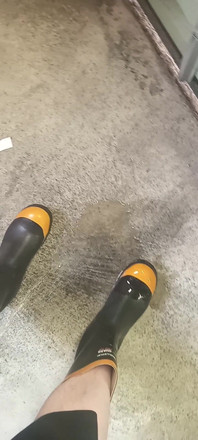 Pissing on Steel Toe Black Rubber Wellies