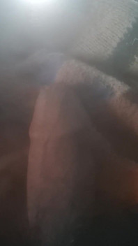 Dick Lovers