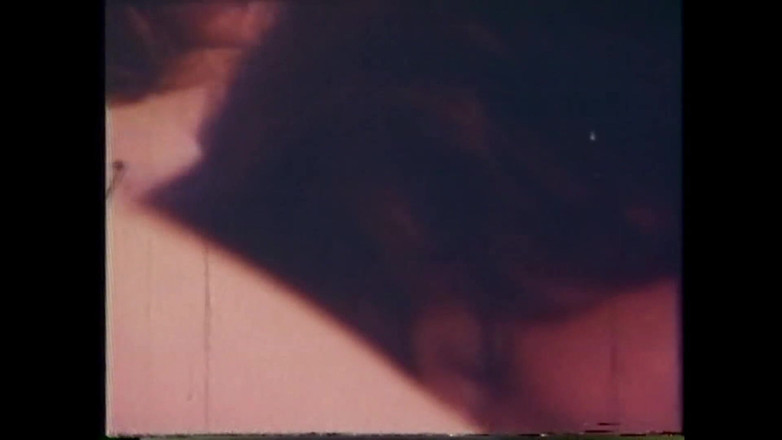 Vintage megastore: Cucej ptáka prasátku