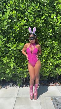 Pink Bunny