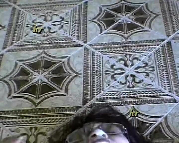 Hans Rolly: Úžasné nesestřílené italské hardcore porno, část 8