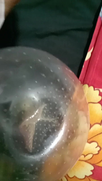 meetmesn: Nouvelle vidéo porno de saxtoy.