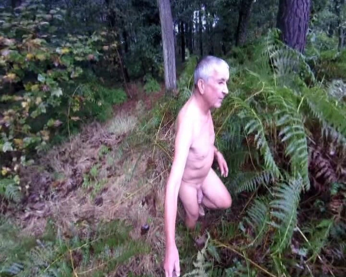 Andy: 숲속의 비와 젖은