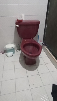 Ibu Istri BBW Pada Panggilan Video 2