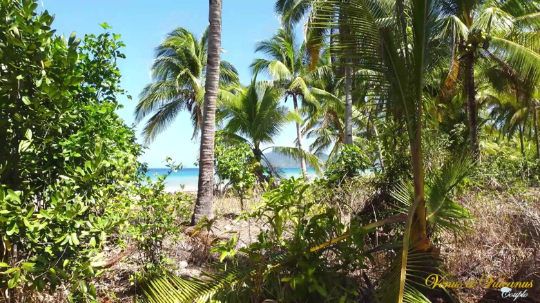 Venus et Vulcanus: Scopata Sulla Spiaggia Da Uno Sconosciuto!